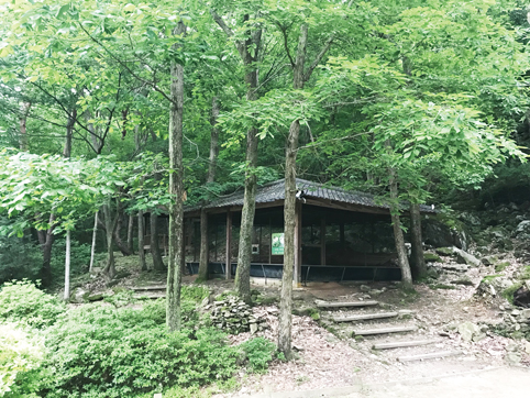 공무원 양 씨, 군수 무고ㆍ직권남용 혐의 ‘고소’
